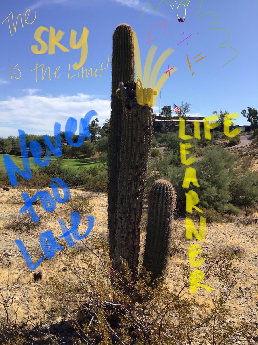 TiffanyFondal's tweet photo. #BioJournaling at #ade2019!
#FunFact It takes 50 years for a cactus to grow 3 feet!
This cactus had to be at least 200 years old!
#LifeLearner #LeadandLearn #EverybodyCanCreate https://t.co/PgTaXysIbf