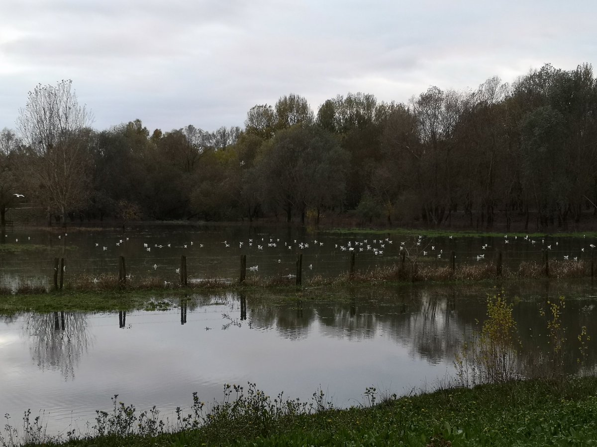 Mr_Duke49's tweet photo. Le parc de Balzac à Angers #Angers #angersloiremetropole #angersmaville #angerscity #Jaimelanjou #Anjou #maineetloire #paysdelaloire #europe #france #parcangers #objectifangers https://t.co/k9vAY4Ax3q