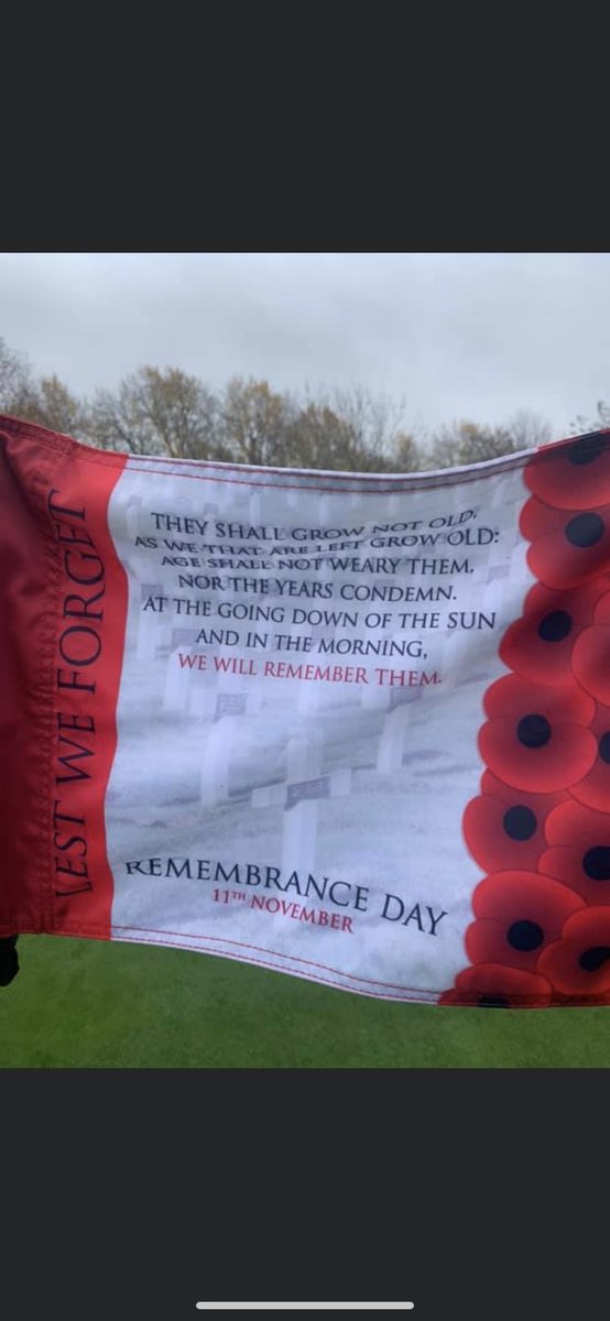 llanwerngolf's tweet photo. A touch of class from the Green Staff on Remembrance Day #PinFlags #leastweforget #poppy #remembranceday #neverforget https://t.co/thlApB3pZC