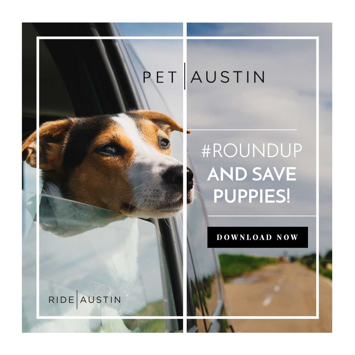 Sundays are for giving ❤️ #RoundUp your fare to support a local animal non-profit of your choosing! #Atx
