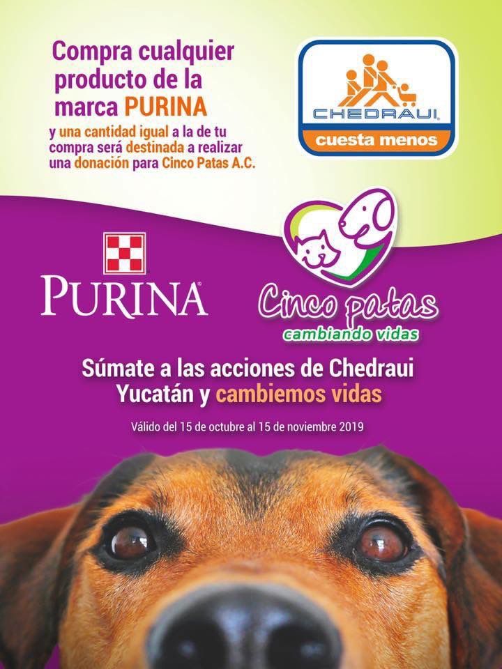 Recuerda que al adquirir en #Chedraui cualquier alimento #Purina una parte igual nos será donada para que sigamos cambiando vidas. Además en #Chedrauicuestamenos ¡Quedan pocos días! 
* Cualquier Chedraui zona Mérida. #Cambiavidas #CincoPatas #CambiandoVidas 🐶💜🐱