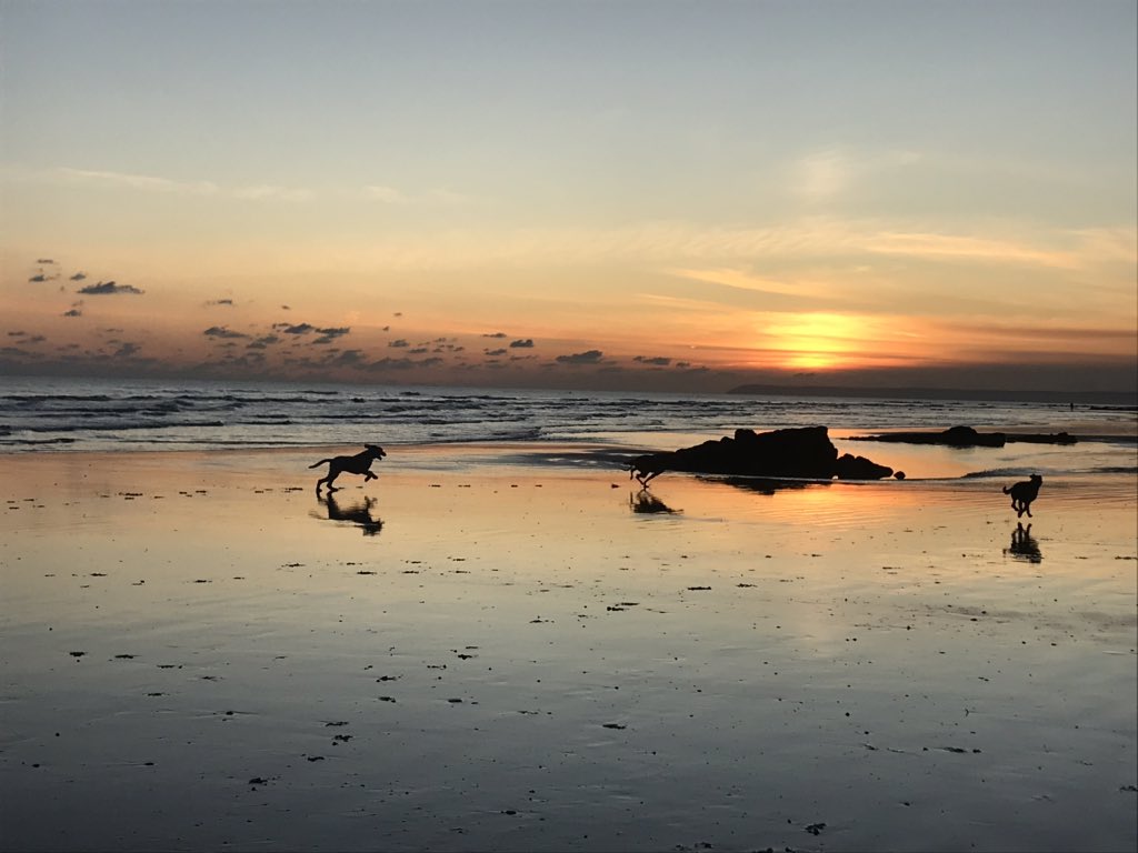 Taking advantage of the last of the sun