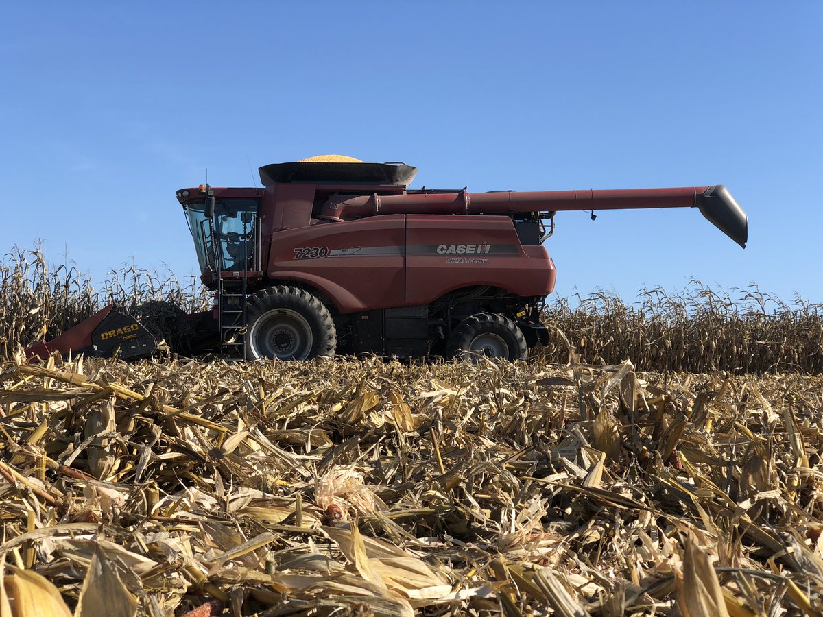 Brad McAfee (@bmac1000) on Twitter photo Sunday Funday knocking out corn acres. <a href="/ChannelSeed/">Channel Seed</a>’s 218-44 is keeping the grain kart operated humping. So while I wait decided to snap some pics of the new to us machine. #caseihnation #caseih7230 Sunday Funday knocking out corn acres. <a href="/ChannelSeed/">Channel Seed</a>’s 218-44 is keeping the grain kart operated humping. So while I wait decided to snap some pics of the new to us machine. #caseihnation #caseih7230