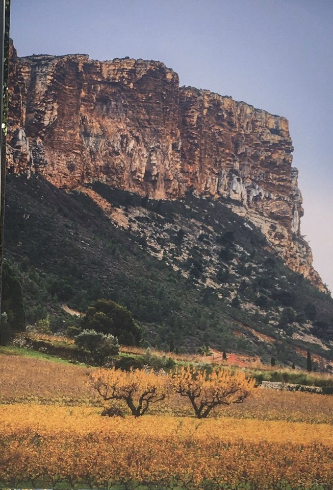 ALLINMARSEILLE1's tweet photo. ALL IN MARSEILLE PROVENCE takes you to discover these beautiful autumn landscapes #ALLINMARSEILLEPROVENCE #picturesque #privatetours #cruise #Marseille #discovery #explore #luxurytravel https://t.co/Vxf3S3Y03Y