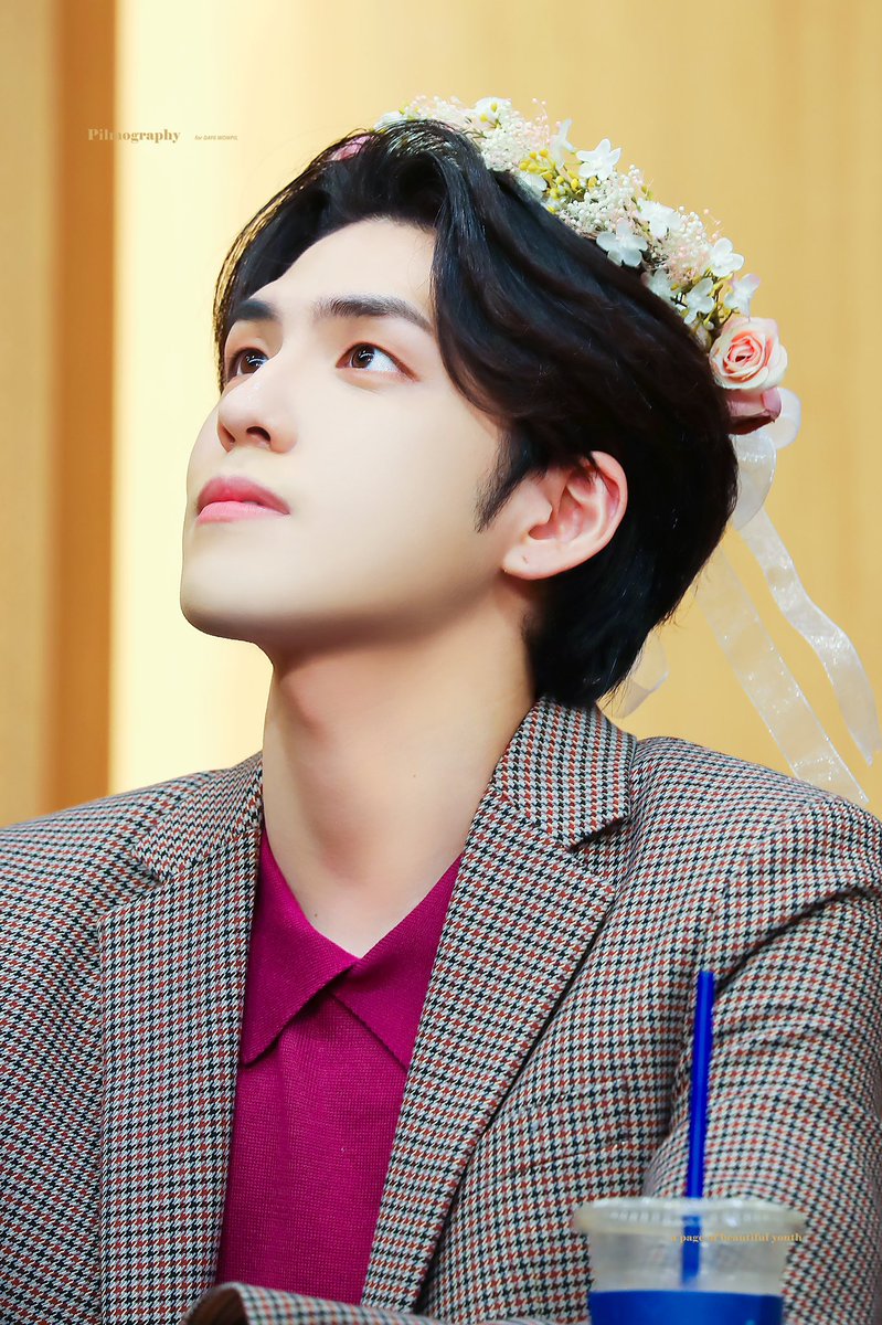 필모그래피 tweet media
