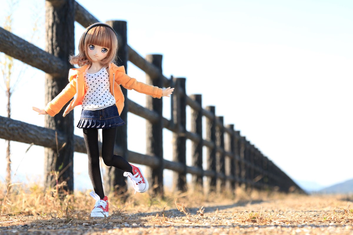 ぶん 今日は久々のナツキ ナナミ姉妹でお出かけ 滋賀も秋が深まり 夕方になると急に寒くなってきます