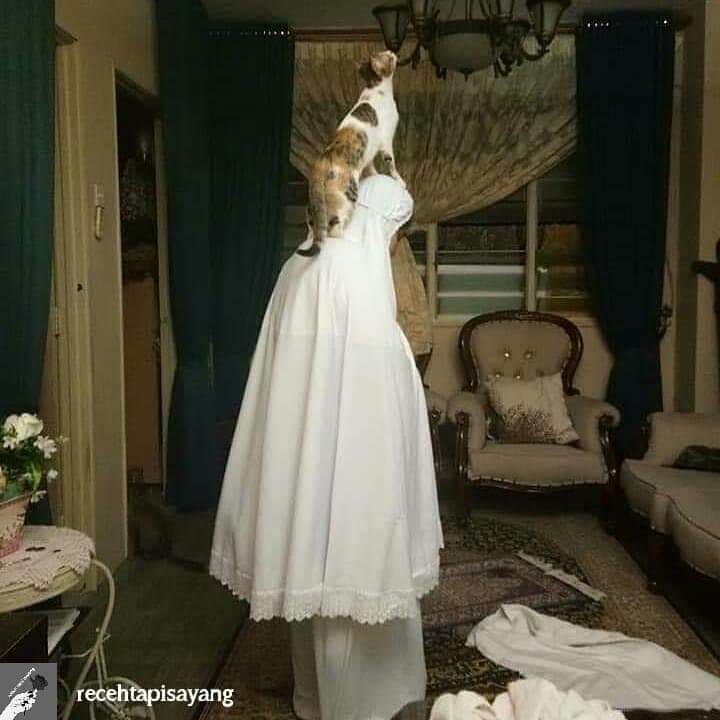 Owner pus bar bar pasti pernah mengalami 😂