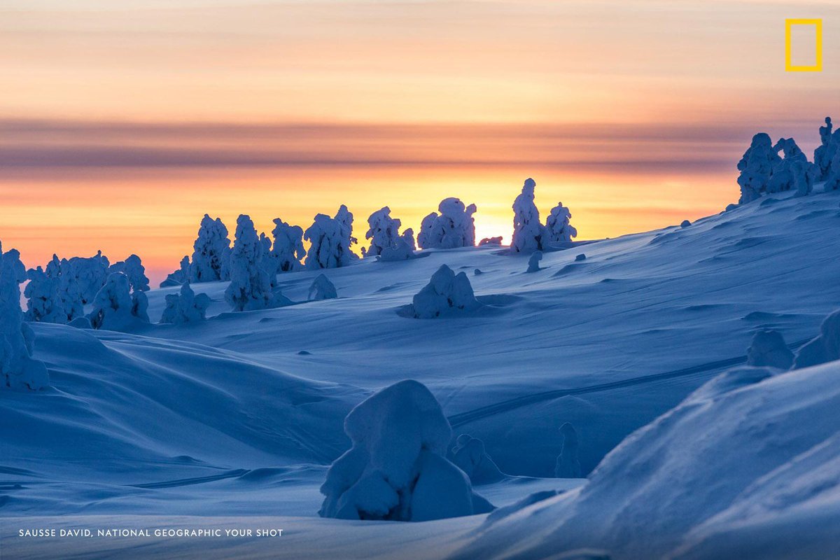 NatGeo's tweet photo. Sun breaks over the horizon at the end of the long, polar night in this surreal scene captured by Your Shot photographer Sausse David in Lapland, Finland https://t.co/MGvifnfF3h