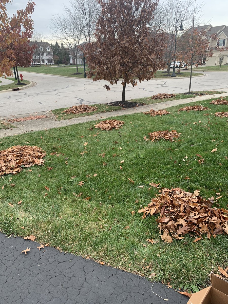 DrNwando's tweet photo. Growing up as a kid in Columbus, I used to hate raking leaves. Now that Iโm an adult in Columbus...I STILL hate raking leaves...but now I have kids to whom I can pass on this important rite of passage! #parenting #fallchronicles๐ ๐๐๐ https://t.co/WWw8aSXLfB