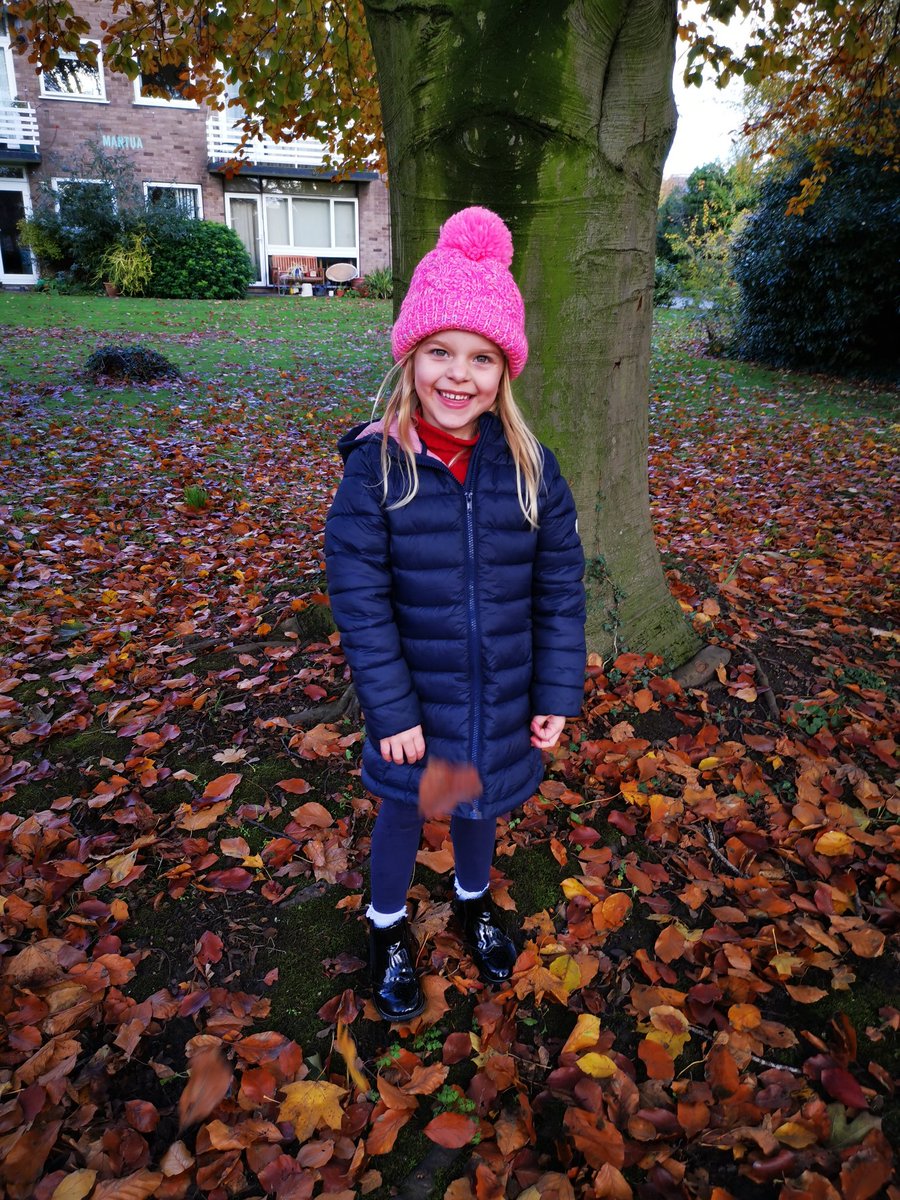 Fbatchelor's tweet photo. Autumnal walks @SnakesClass #spidersautumnselfie https://t.co/7jdBj8VENy
