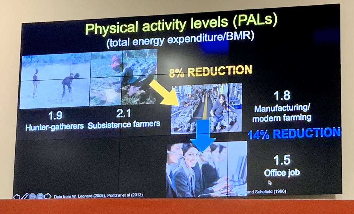 jb_morin's tweet photo. Finally fresh & mind-opening talk by Dan Lieberman from @Harvard 🤓🧐
Running helped us follow the great equation of life « energy in, babies out » 👍😁🔁♻️ and then, something went wrong 🤦🏻♂️📉
We are « made » to run slow, often, and enjoy it. Applied right away✅🥰
#SSCrun2019 https://t.co/3mNUVAD5gU