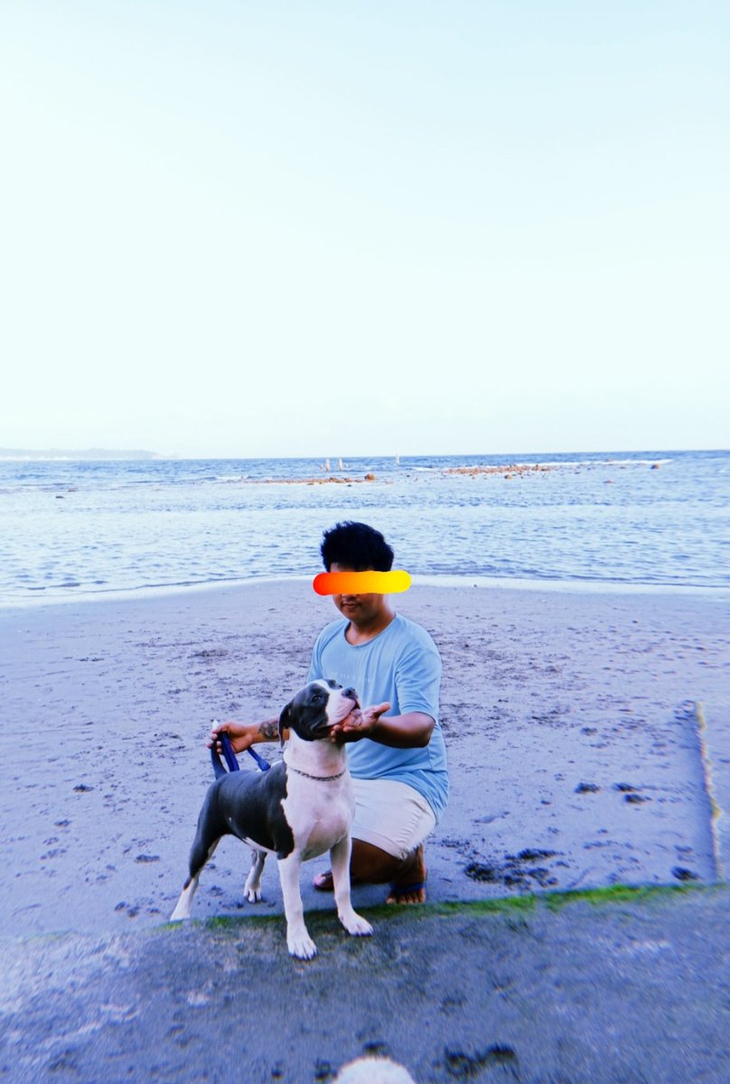 AlissJann's tweet photo. Oreo the mama's boy 🤦‍♂️😅😂💘 https://t.co/1jXZiPMkKt