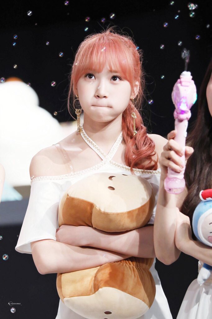 ONLYCHAEWON_TH🐯 tweet media