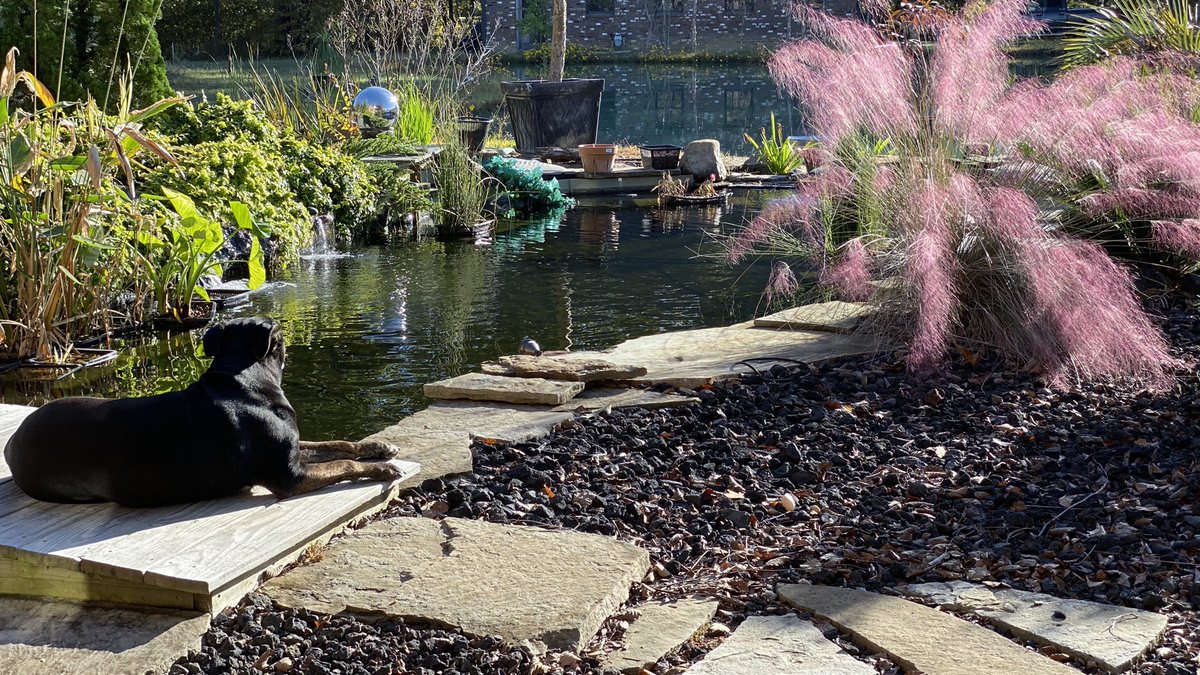 Idyllic morning, but now I have to go to work.