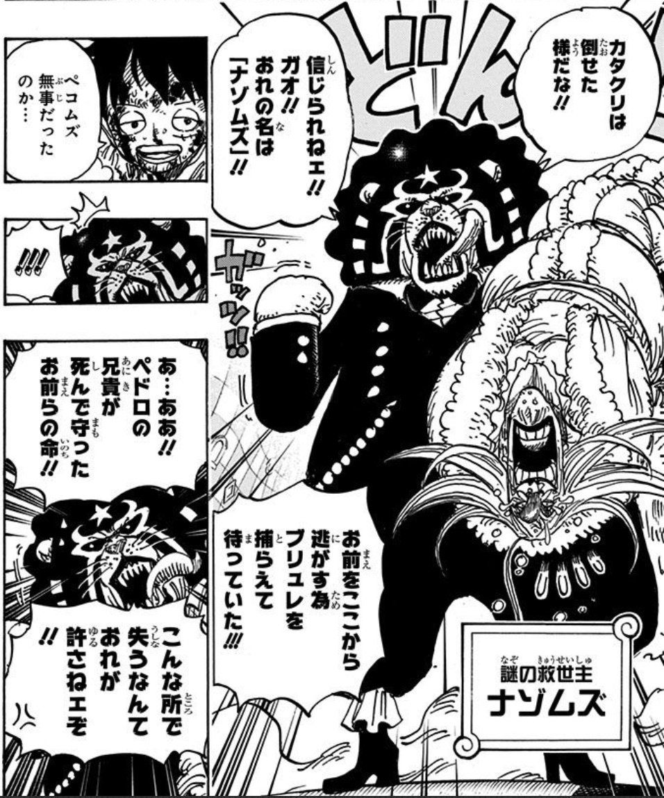 スパラットdab A Twitter さんざんカメマムシとかペコマムシって言ってたのに ホールケーキアイランド編の最後でちゃんとペコムズこと名前で呼んでるのめっちゃいいよな