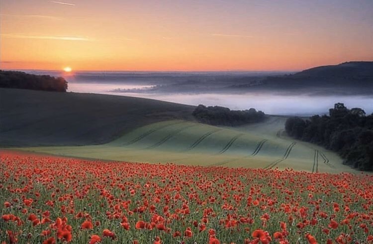 BritishArmyPolo's tweet photo. We will never forget. https://t.co/2X4J50gaZI
