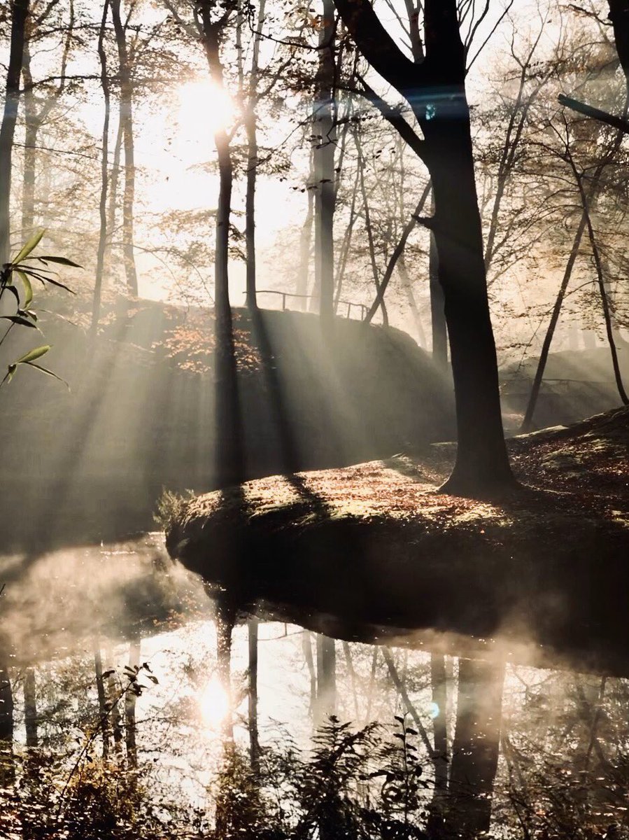 Als je vanochtend niet buiten was ben je af