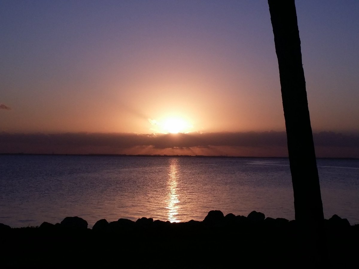TamiMohrWPaint's tweet photo. Have a super Sunday! #datglow #floridaliving #sunrise #SundayMorning https://t.co/JL6x2gVDWP