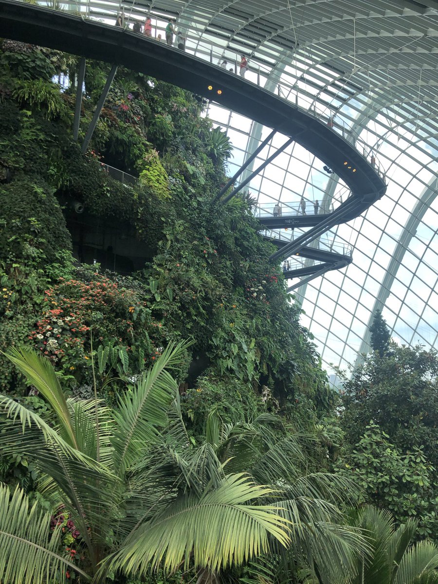 Singapore 🇸🇬 gardens by bay