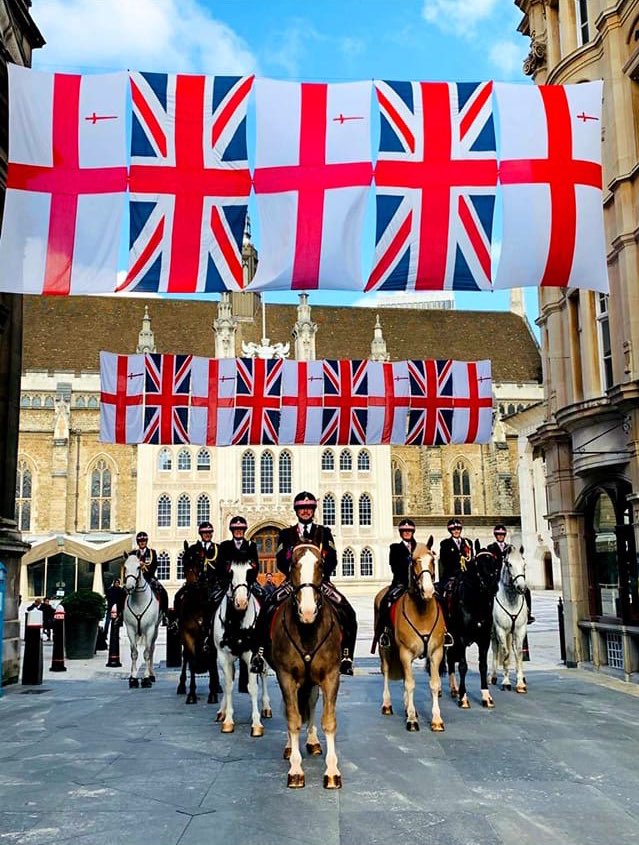littledave72's tweet photo. What an absolutely amazing photo of my gang, I wish I was in this! #phsawyer #phwellington #phscooby #phpollard #phclyde #phsamantha #phiris @CityHorses #cityhorses #london #RemeberanceSunday https://t.co/AgV332VdKR