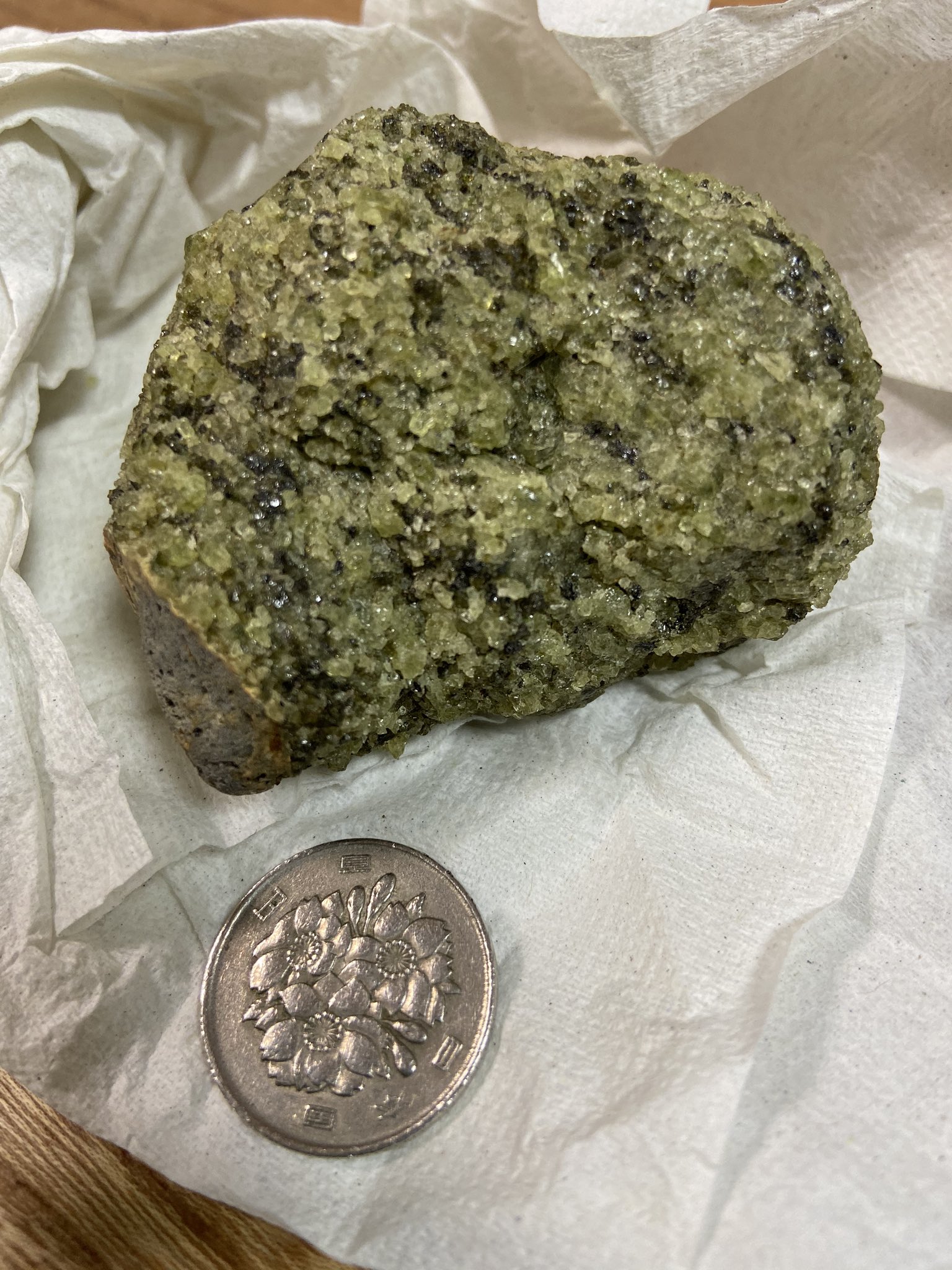 ★★★博物館級、超貴重★★★　秋田県 一ノ目潟産『カンラン岩』 博物館級、超貴重 秋田県 一ノ目潟産『カンラン岩』