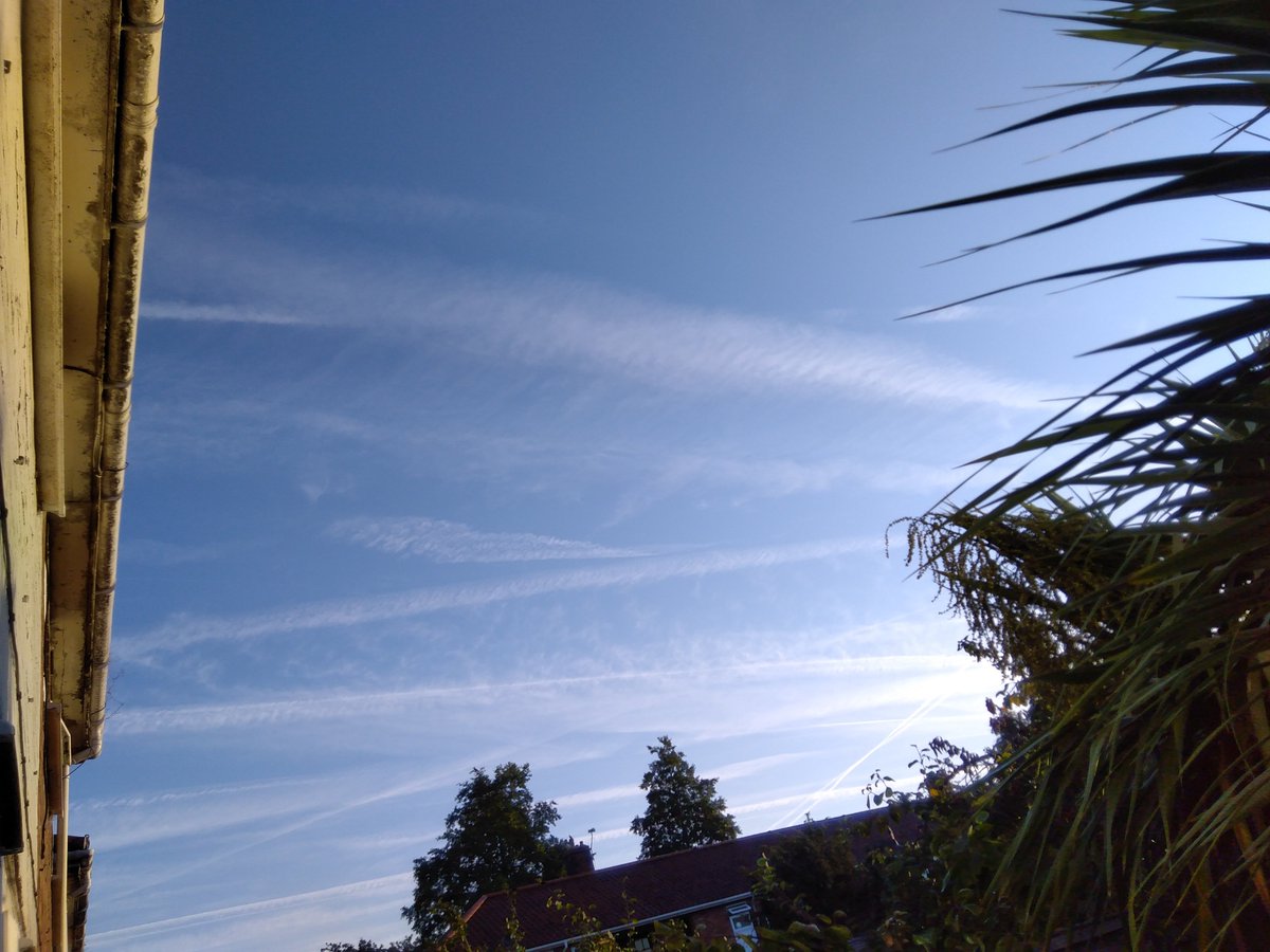 newsanceandgg's tweet image. #WhiteLines
#GoingThrough
#MyMind
#LookUpNowAndAgain