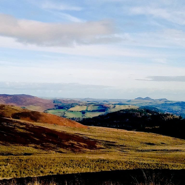 blonde_on_bikes's tweet photo. Lovely afternoon out on the bike enjoying these views☀️🚴‍♂️😀 #bordersbelles #scottishborders #mountainbiking #gravelriding #wintertraining #clovenfordspaths #galapaths https://t.co/jDd5vNmSMB
