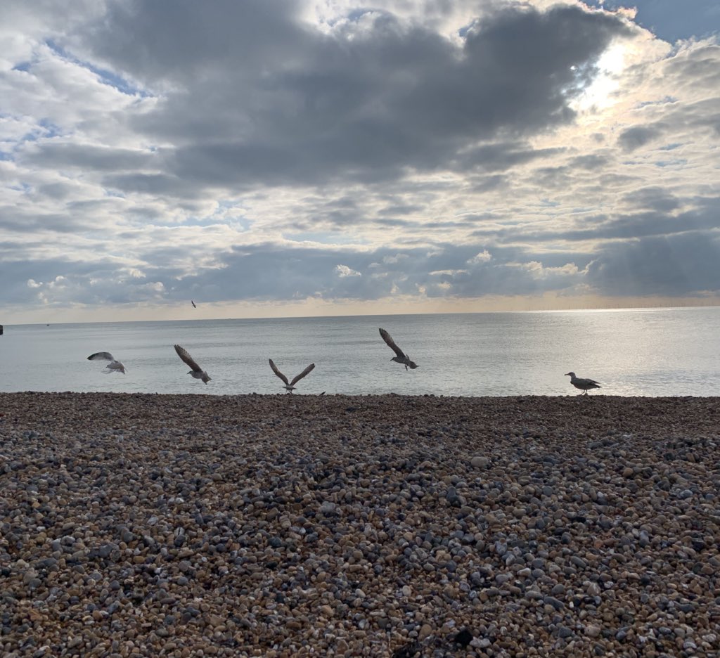 sophieRblake's tweet photo. Beach walk #brighton #sunday #neededfreshair https://t.co/suGY3hDfNK