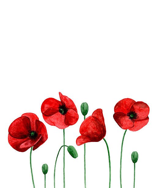 On Monday, November 11, both the Habitat Moncton Affiliate Office and ReStore will be closed for Remembrance Day. #LestWeForget