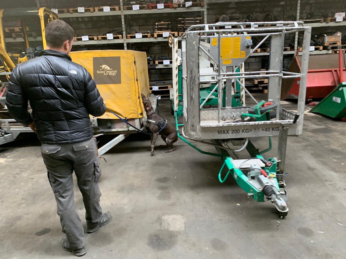 Scentimprint's tweet image. EDD Bill during a training session #explosivetraining #explosivedetectiondog #bombsquad💣 #closeprotection #security #securitycheck #sifd #scentimprintfordogs #scentimprint #snifferdogs #bombdog #bombsquad #operator #policek9 #k9 #germanshorthairedpointer