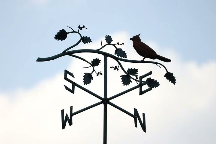 KloosterHuissen's tweet photo. Het Compassie-Kompas schept een context om onszelf en hoe we in de wereld staan te onderzoeken. 

#meditatie
#compassie

Met Bert van Baar 
@BertSkyHeart

https://t.co/BV2TLTWAoV https://t.co/9px7zTiNXo