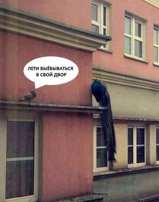 EJBjdZ4XUAETOwG?format=jpg&name=small