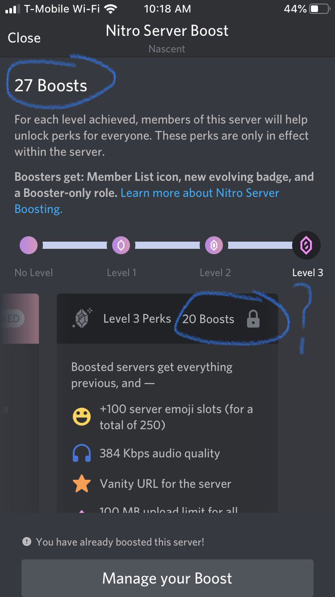 discord nitro server boost