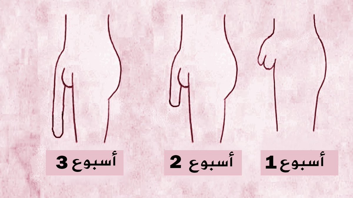 do3aa311's tweet photo. #سُعُيُدُ_بُنُ_ماُنًعٌ

مرحبا

الان وجدنا لكم الحل 

للتخلص من 

@سًٍَِْر~عةًٍَِْ لًًٍَقذفًًٍَِْ @ و ضًٍَِْعًٍَِْفًٍَِْ الانتًًٍََِْصًَِْاًٍَِْبًٍَِْ 

فقط راسلني واتس الرابط في اول تعليق https://t.co/wAzg9Lajmo