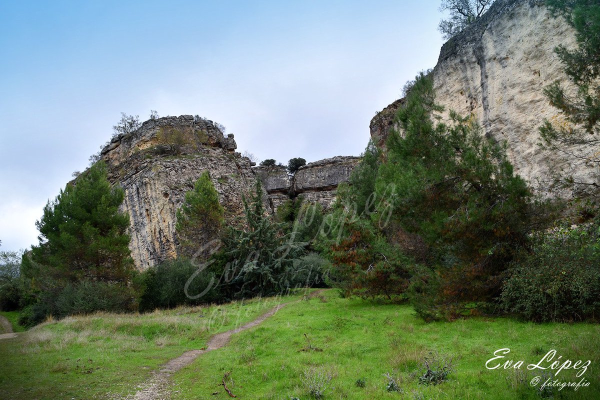 EvaM_Lopez's tweet photo. Día de recarga de pilas...
#AlcaláLaReal #zumaques #zumacal #sendero #senderismo #ruta #bosque #naturaleza #camino #paisaje #landscape #landschaft #otoño #Noviembre #fotografía https://t.co/nLutc4WOgi