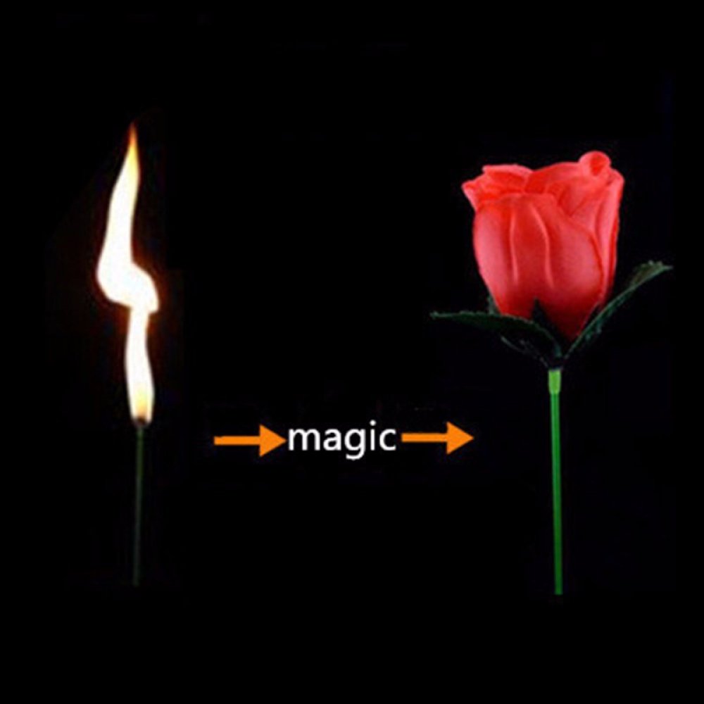 and_gag's tweet photo. ##firetoflower #firetrick #illusion #magic Torch to Flower - Fire Magic Trick https://t.co/jvaLF3dxvI https://t.co/ShOkxFKgEm