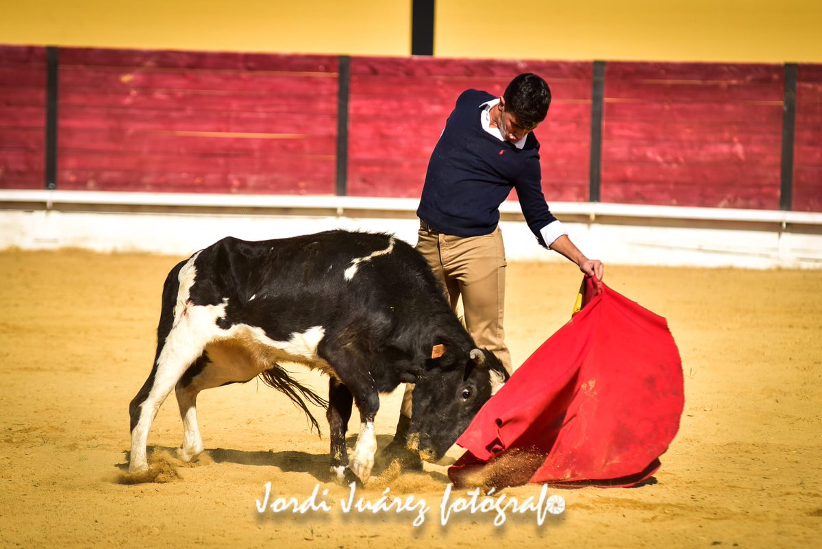 MoBaPau's tweet photo. Bonita mañana nos ofrecido los aficionados prácticos en el IV bolsín de la peña cultural taurina "El Natural". Buenos detalles se han visto, aún que para mí la faena más completa ha sido la de @YasinGalas.
#elnatural #bolsin #fotografiajordijuarez https://t.co/8zEv6epMox