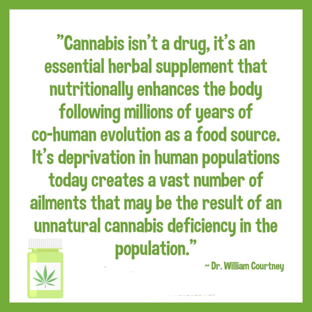 Flpuzzy's tweet photo. The CBD oil is it. #herbalsupplement #herbs #herbal #RemembranceSunday #cbdoil #trycbd #healthconscious #healthyliving #healthylifestyle #ineedchange #cannabis #entrepreneur #food #southafrica #lagos #lagosisland #ghana #nigeria #naija #kenya #usa https://t.co/X9CF5km0kS https://t.co/mnB03MQSFQ