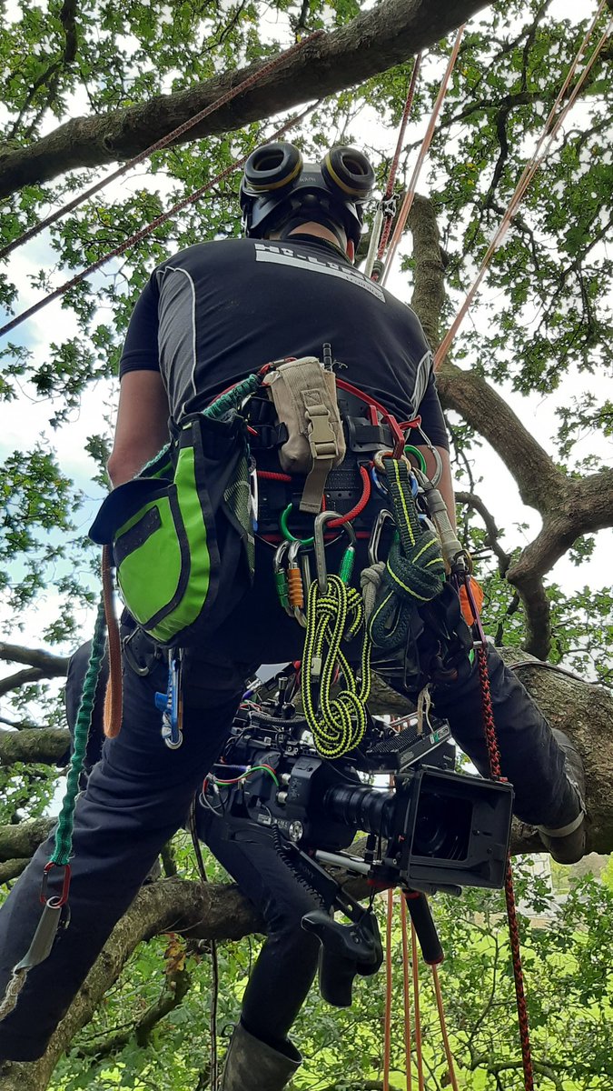 Tom Heap tweet media