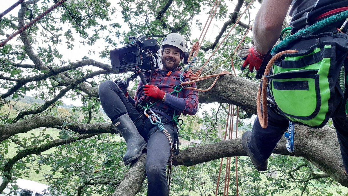 Tom Heap tweet media