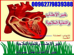 AtMahmod1's tweet photo. #القلب
https://t.co/qpctVYWBmV https://t.co/KtpM1VQI37