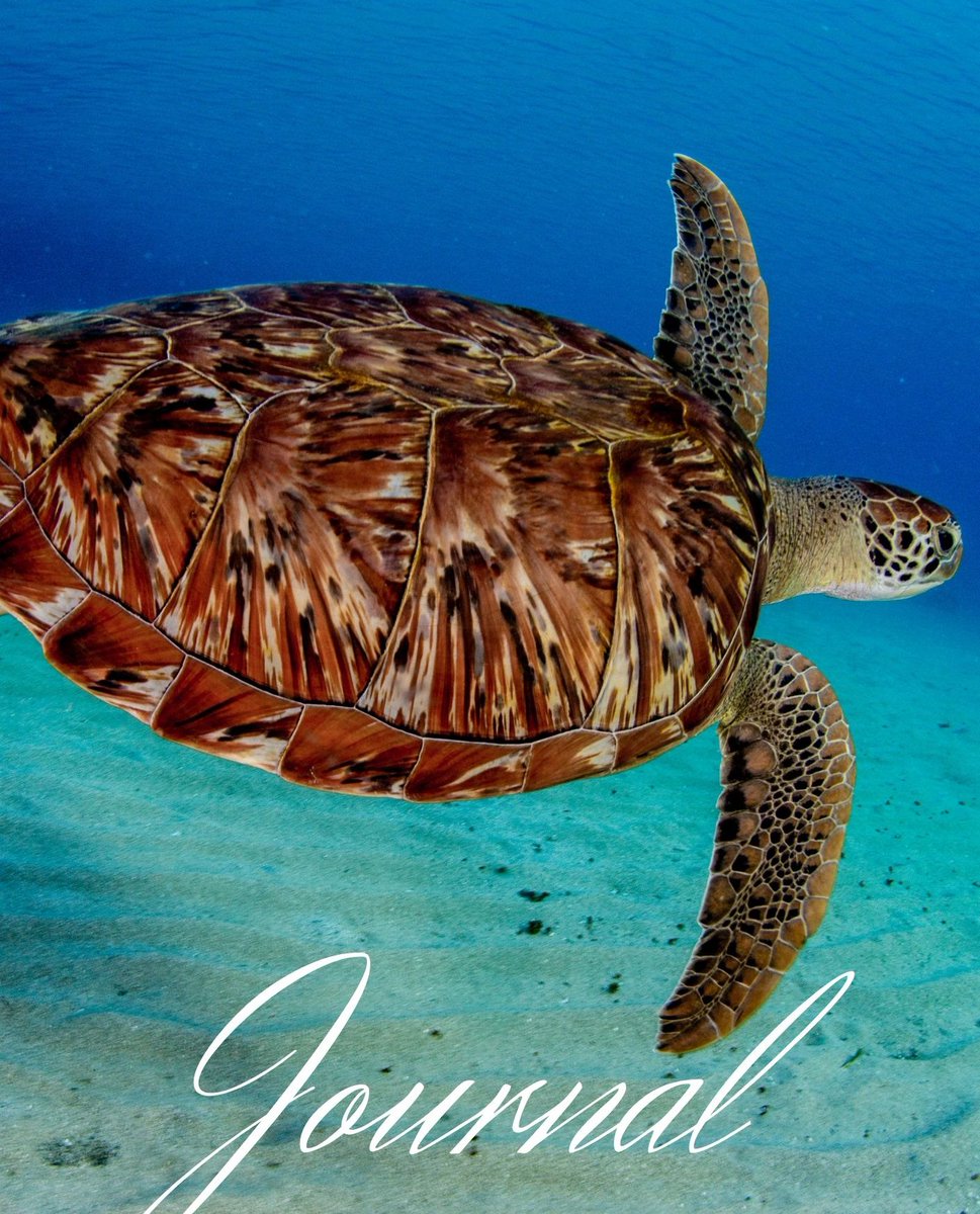 JournalCanvas's tweet photo. #sealifesunday on JC! Check out this #seaturtle journal on https://t.co/iRhoZlHct1! 

Also, check us out on https://t.co/NCGcB0HBHi for journal canvas #merch https://t.co/xaIpa8Uknq