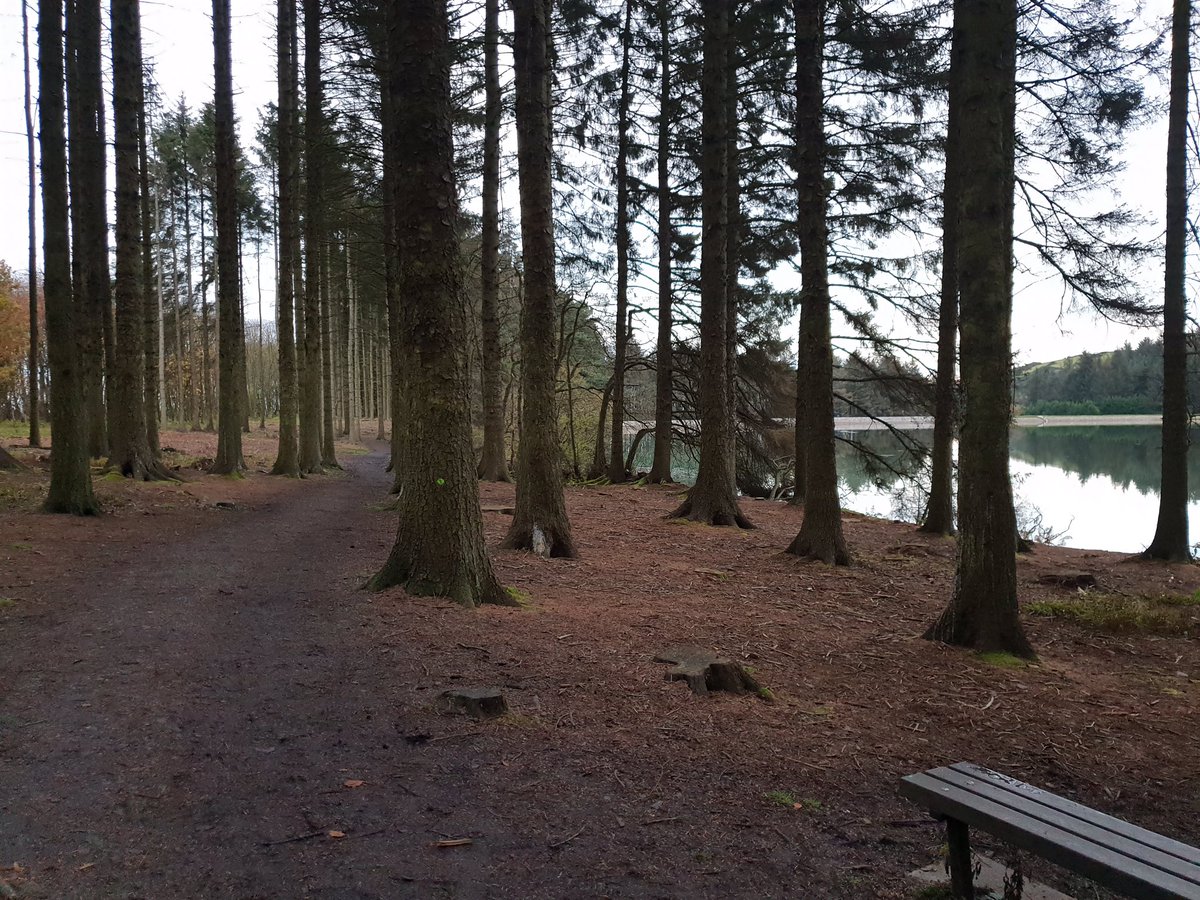 FH_Deborah's tweet image. Squeezed in a quick wander around Beecraigs Loch before dark and before Strictly! #Sunday #StepCountChallenge #TeamFoxTrot
