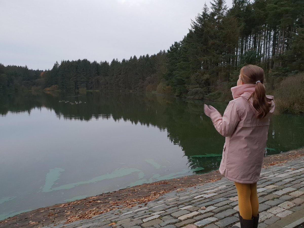 FH_Deborah's tweet image. Squeezed in a quick wander around Beecraigs Loch before dark and before Strictly! #Sunday #StepCountChallenge #TeamFoxTrot