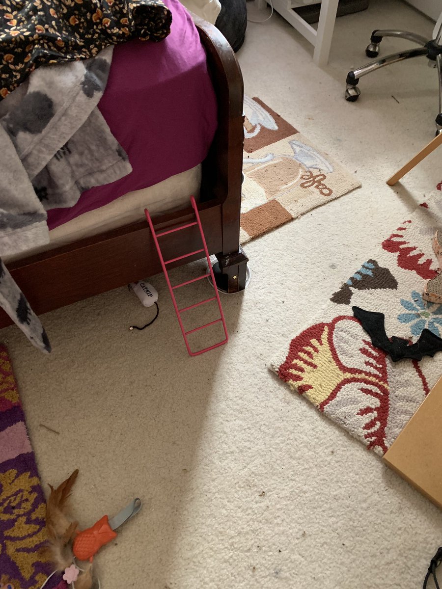 olivefieri's tweet image. my fat (20 lbs) cat has trouble getting onto my bed so my mom said she had a little ladder she’d put in my room for the cat..... not sure how she thought this was gonna work lmao