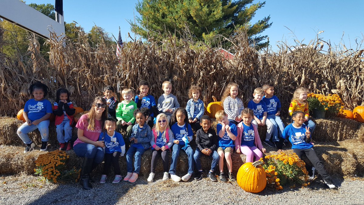 MrsKokal's tweet photo. The cutest pumpkins in the patch https://t.co/oWKj9UtRRQ