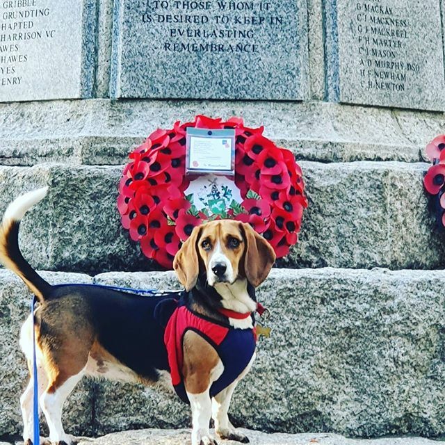ANDPRLTD's tweet image. Lest we forget ift.tt/2NX84Rh