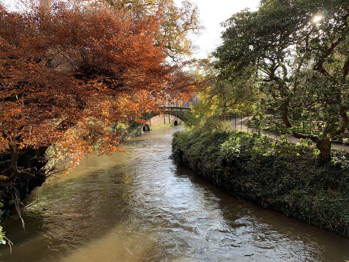 MindSpa is everywhere.  Because it goes with me where I go. I love when Being in the moment is so natural because truly it is the only thing to do. Gifted today with beauty and love 
#RemembranceSunday #LestWeForget #Life #silence #nature #family