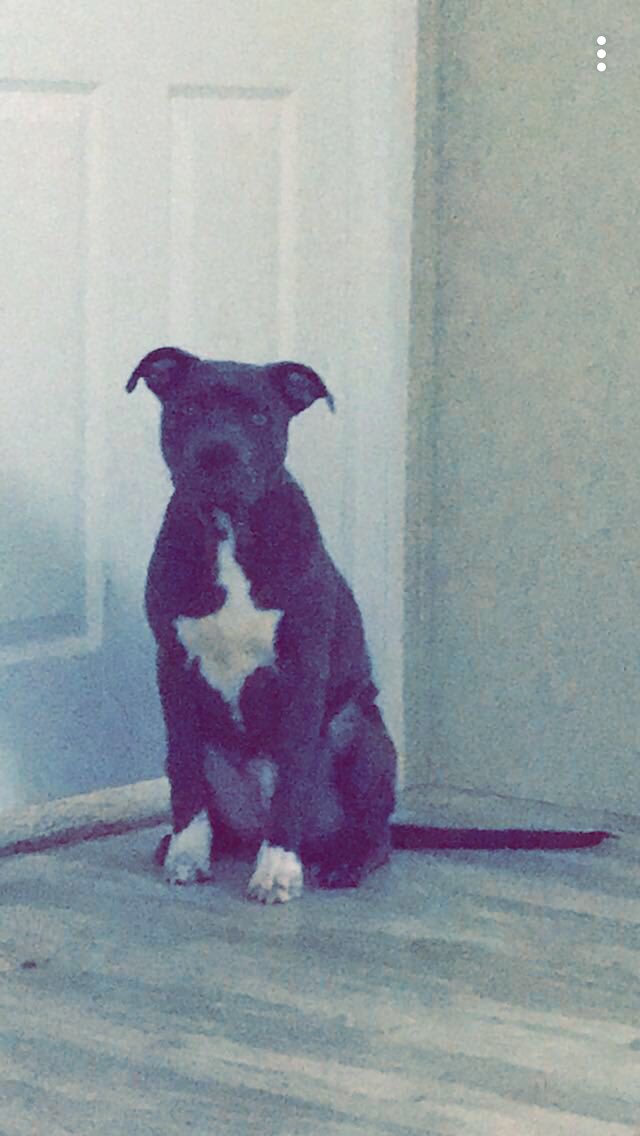 JacobProkes's tweet image. 👑