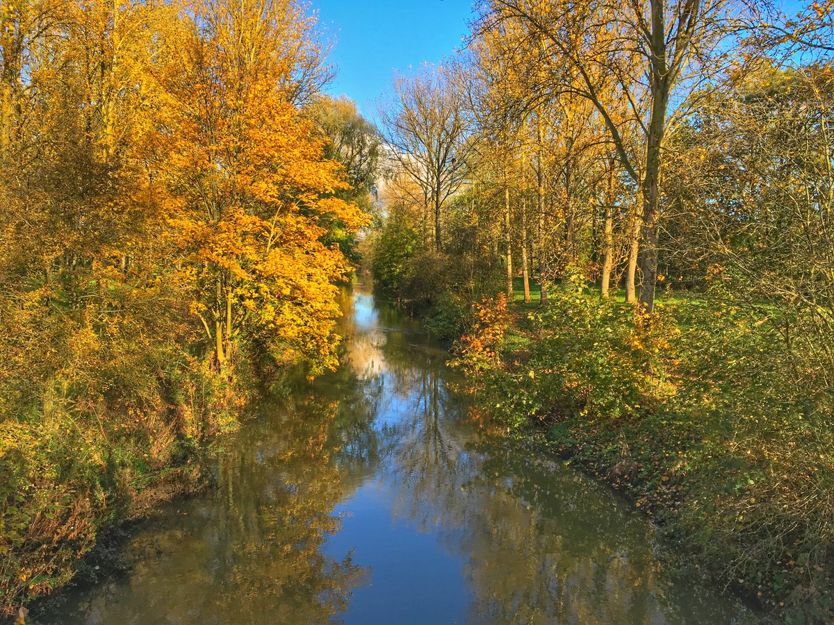 Autumnal Ouzel this afternoon ⁦<a href="/scenesfromMK/">scenesfromMK</a>⁩ ⁦<a href="/TheParksTrust/">The Parks Trust</a>⁩